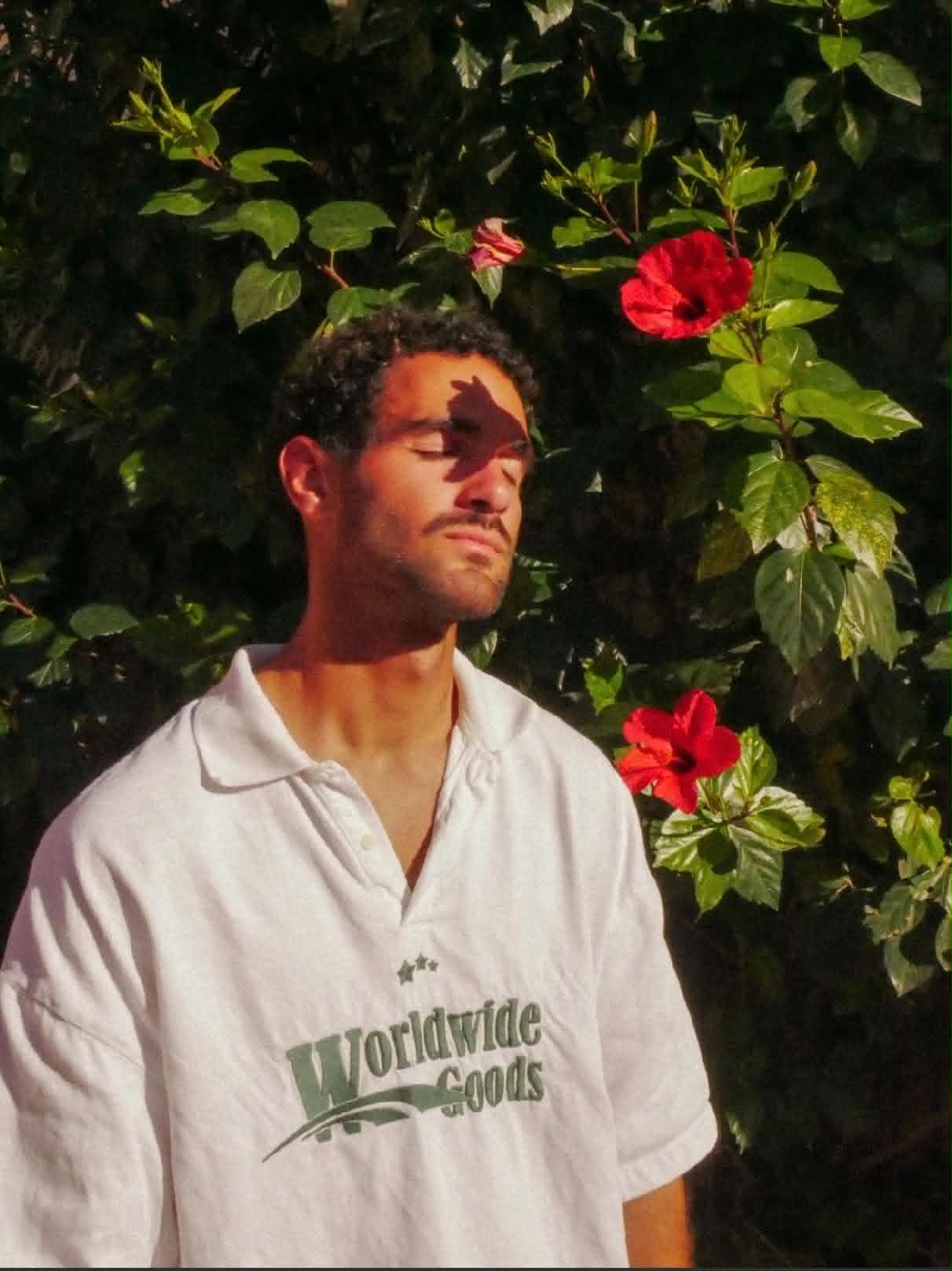 Willem — Lost In Pacific